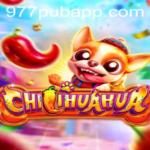 Discover the Thrills of CHILIHUAHUA: A New Adventure by 977PUB