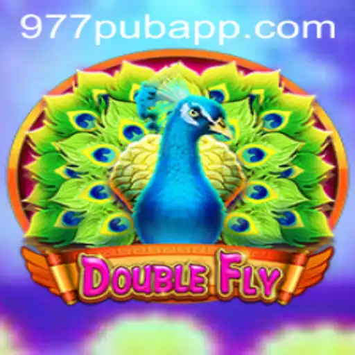 Discover the Thrills of DoubleFly: Introduction, Description, and Game Rules